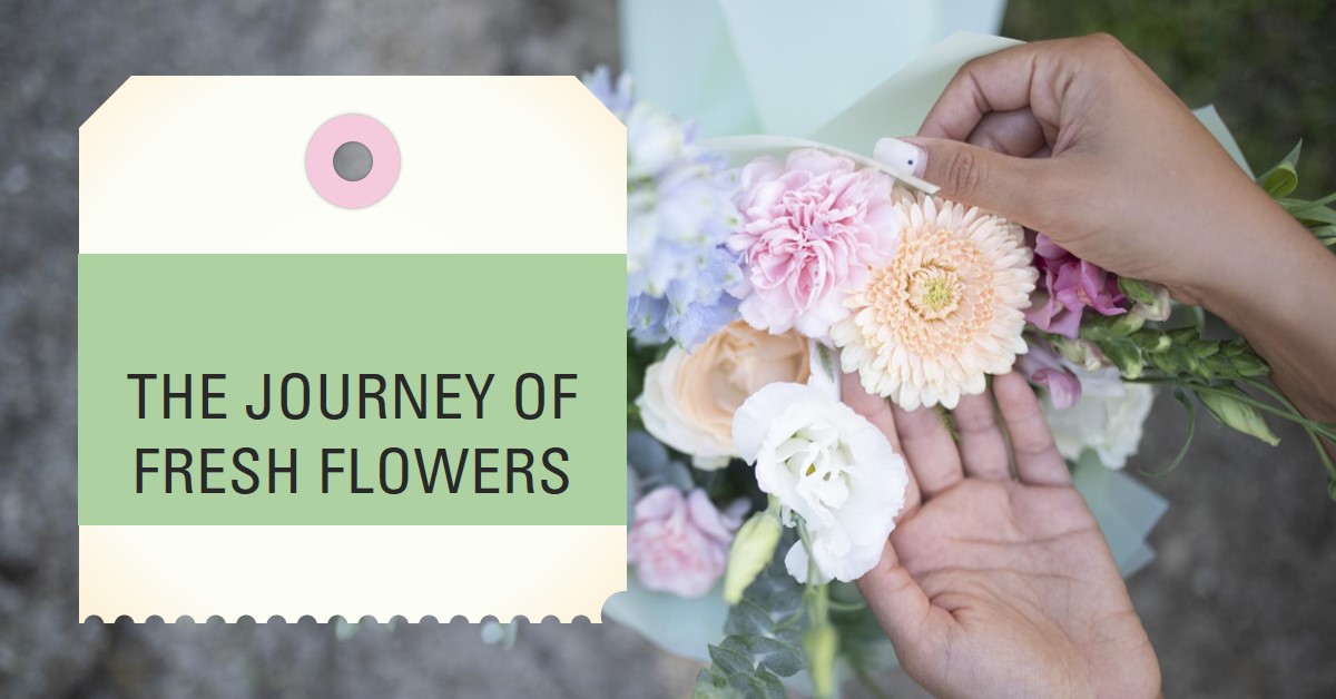 From The Field To Your Doorstep: The Journey Of Fresh Flowers